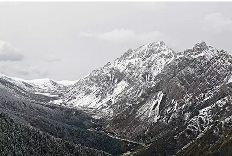 1504318447343064.png 1504318447343064.png