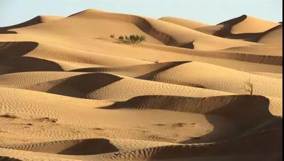 1534927413478118.jpg 1534927413478118.jpg