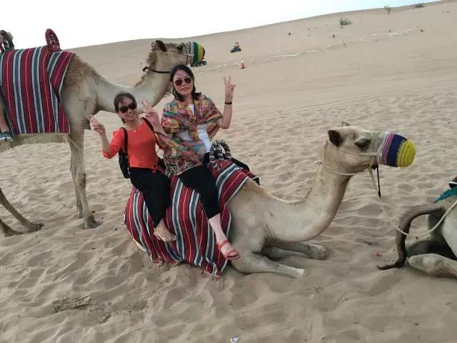 1534927859938629.jpg 1534927859938629.jpg