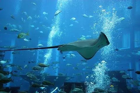 1534927918553375.jpg 1534927918553375.jpg