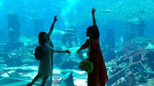 1534927926218811.jpg 1534927926218811.jpg